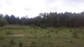 IMG-20171011-WA0052.jpg