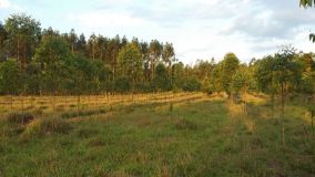 IMG-20171011-WA0055.jpg