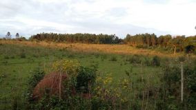 IMG-20171011-WA0057.jpg
