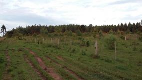 IMG-20171011-WA0058.jpg