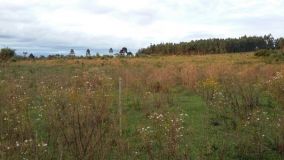 IMG-20171011-WA0059.jpg