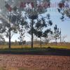 Lote de 426 m2 en Residencial Altas Cumbres