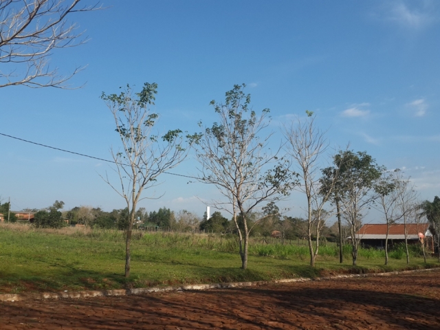 Lote Residencial frente al Parque Ecológico